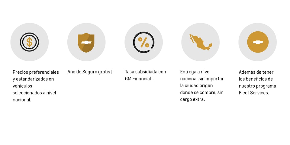 Icono de precios preferenciales para pymes, Icono para año de seguro gratis, Icono de porcentaje de tasa subsidiada, Icono de la república mexicana, Icono de Chevrolet Fleet Services