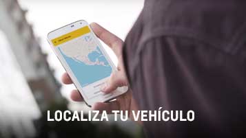 localiza vehiculo